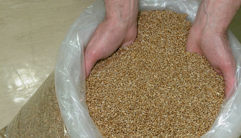 A person grabbing grain from a plastic bag